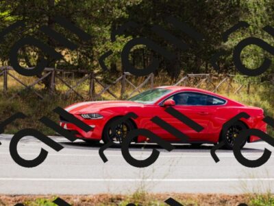 202508301020-_04A5405_c3