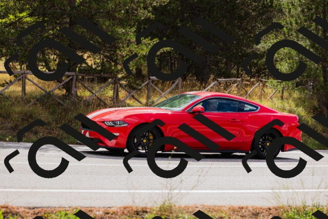 202508301020-_04A5405_c3