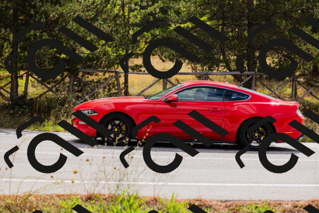 202508301020-_04A5406_c3