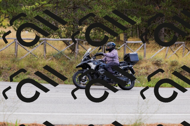 202508301027-_04A5409_c3