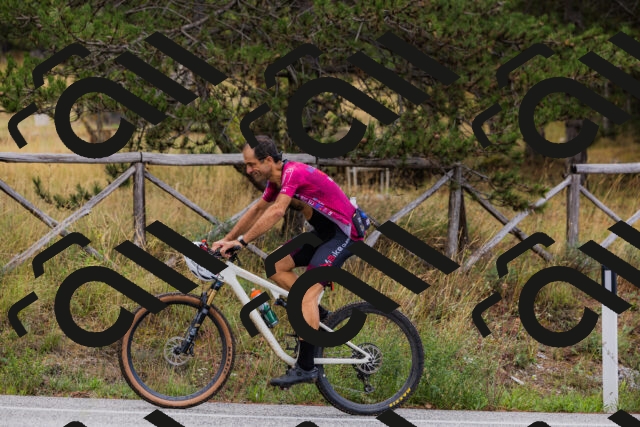 202508301028-_04A5411_c3