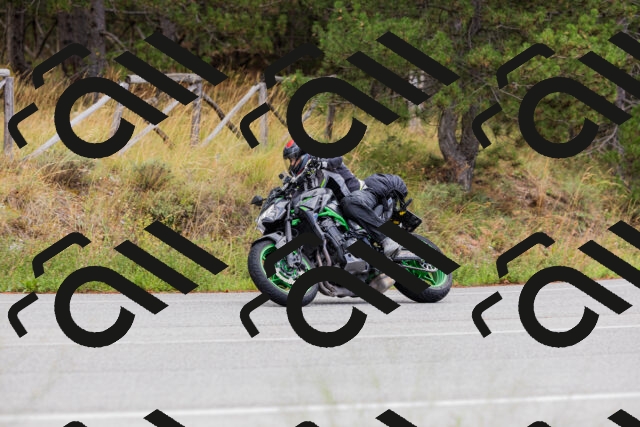 202508301039-_04A5417_c3