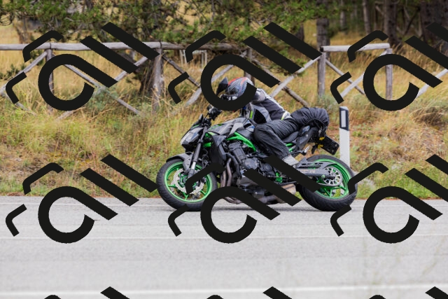 202508301039-_04A5418_c3