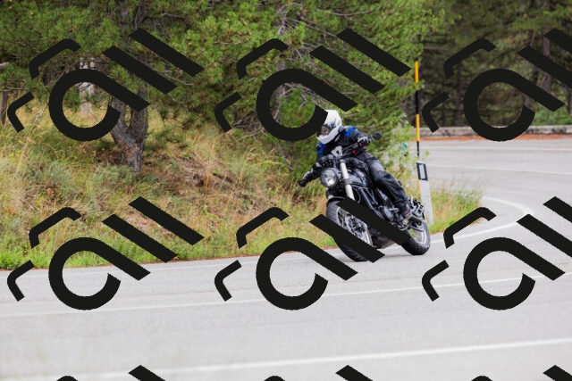 202508301039-_04A5419_c3