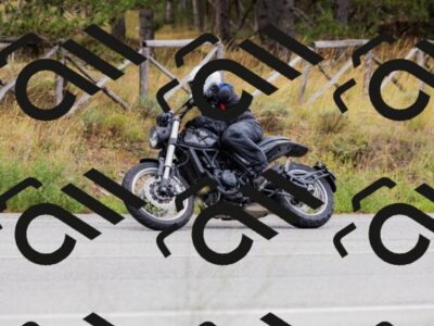 202508301039-_04A5421_c3