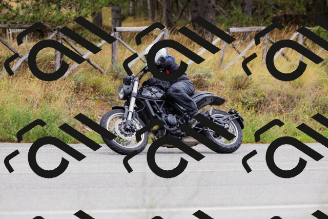 202508301039-_04A5421_c3