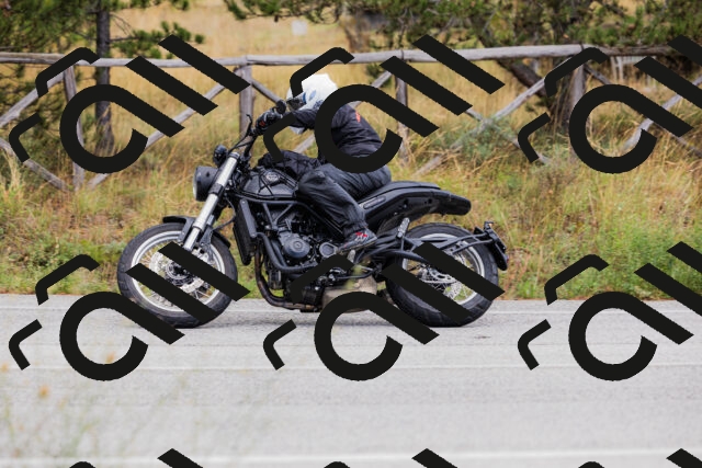 202508301039-_04A5422_c3