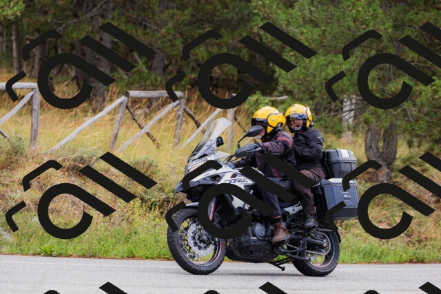 202508301045-_04A5427_c3