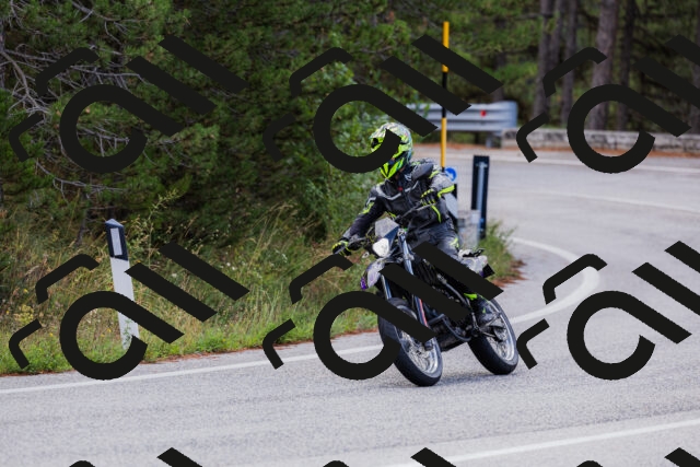 202508301050-_04A5431_c3