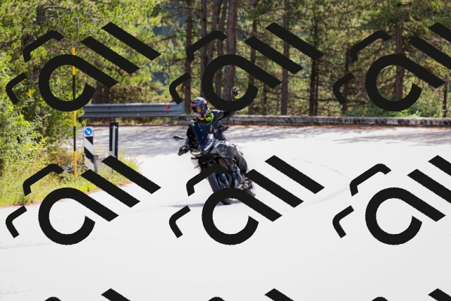 202508301106-_04A5439_c3