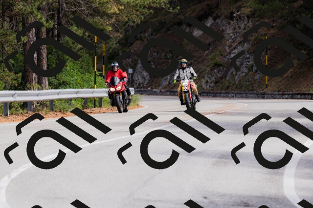 202508301128-_04A5442_c3