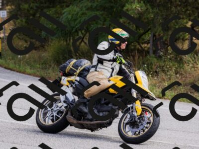 202508301128-_04A5446_c3