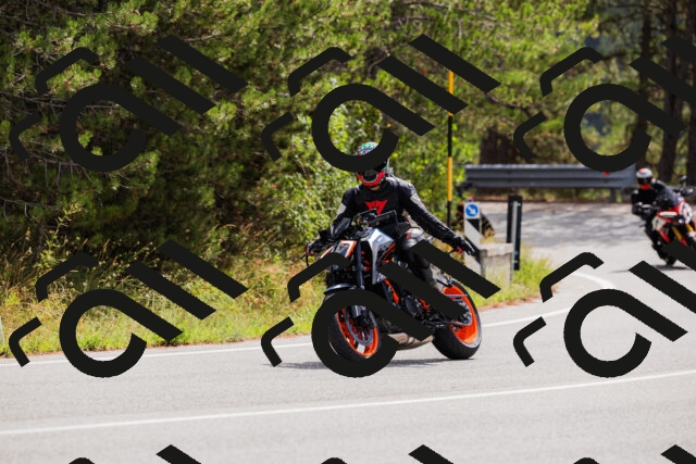 202508301130-_04A5455_c3