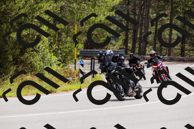 202508301130-_04A5456_c3