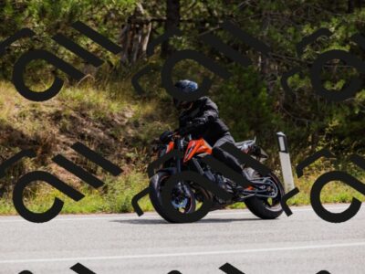 202508301130-_04A5460_c3