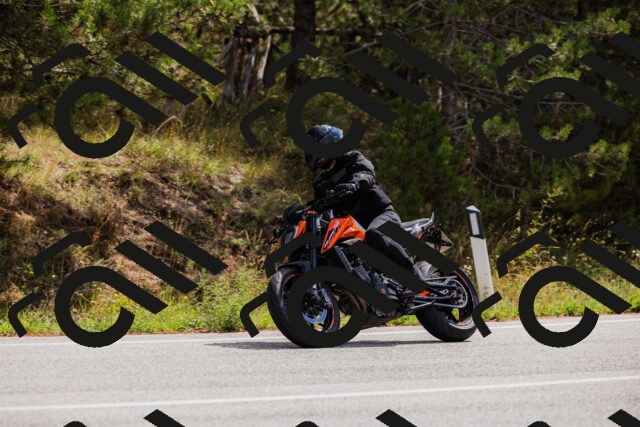 202508301130-_04A5460_c3