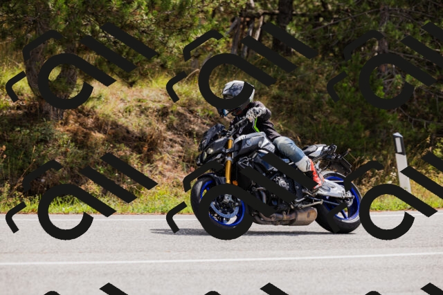 202508301130-_04A5464_c3