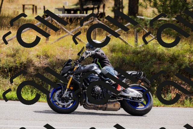 202508301130-_04A5465_c3