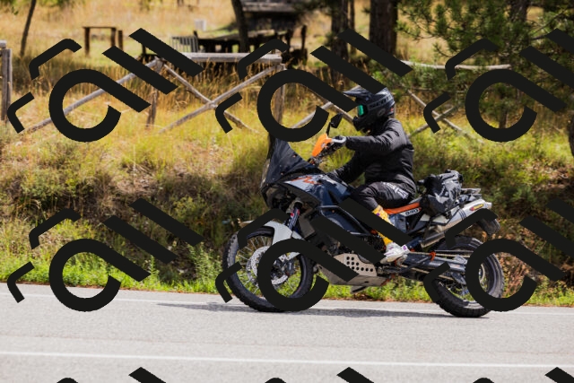 202508301131-_04A5469_c3