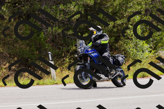 202508301131-_04A5473_c3