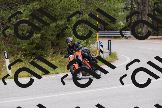 202508301134-_04A5484_c3