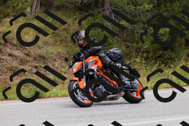 202508301134-_04A5485_c3