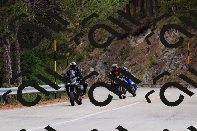 202508301134-_04A5488_c3