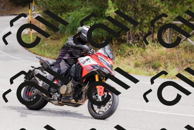 202508301135-_04A5500_c3