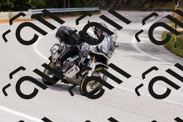 202508301135-_04A5502_c3