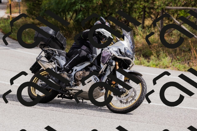 202508301135-_04A5503_c3