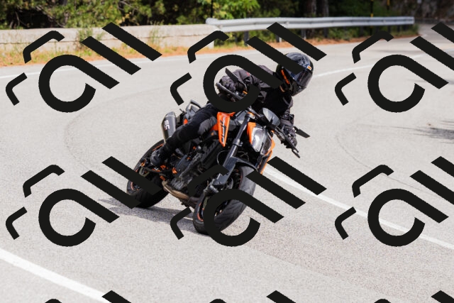 202508301135-_04A5504_c3