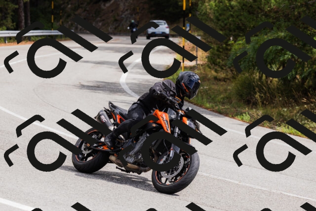 202508301135-_04A5505_c3