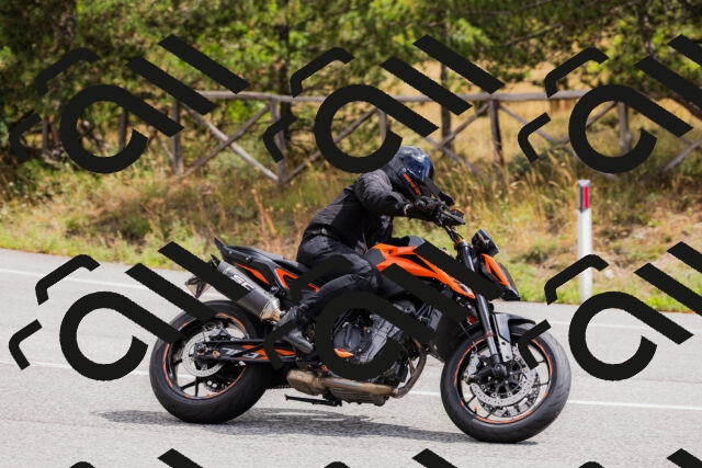 202508301135-_04A5506_c3