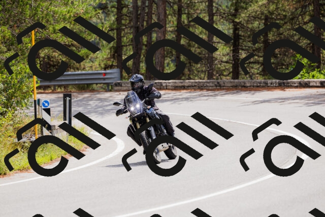 202508301139-_04A5507_c3