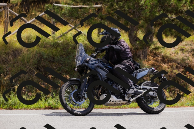 202508301139-_04A5511_c3