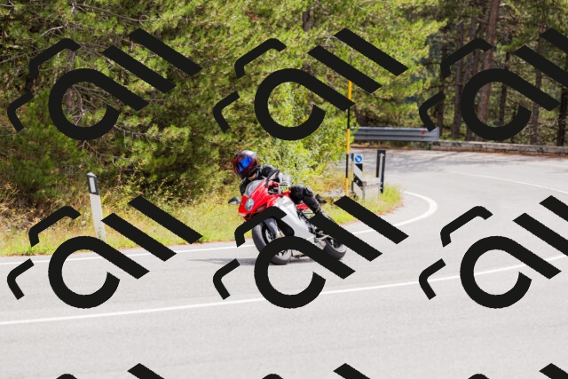 202508301155-_04A5513_c3