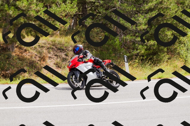 202508301155-_04A5514_c3