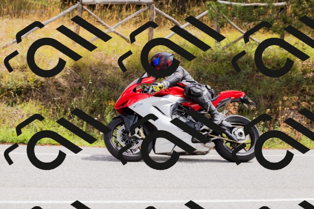 202508301155-_04A5515_c3