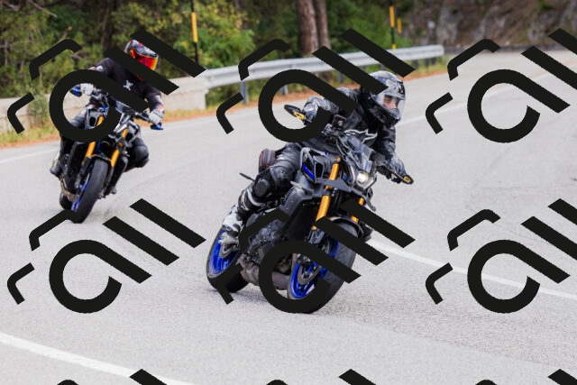 202508301158-_04A5517_c3