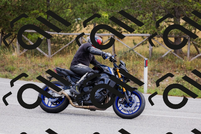 202508301158-_04A5520_c3