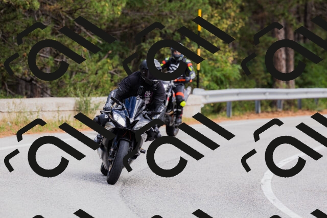 202508301159-_04A5522_c3