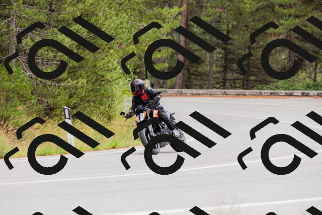 202508301209-_04A5533_c3