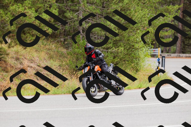 202508301209-_04A5534_c3