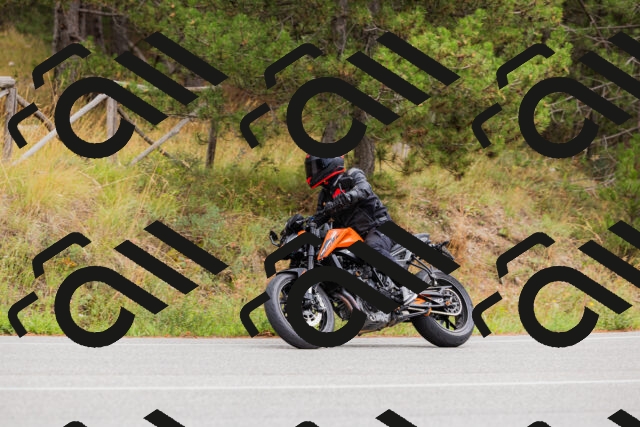 202508301209-_04A5535_c3