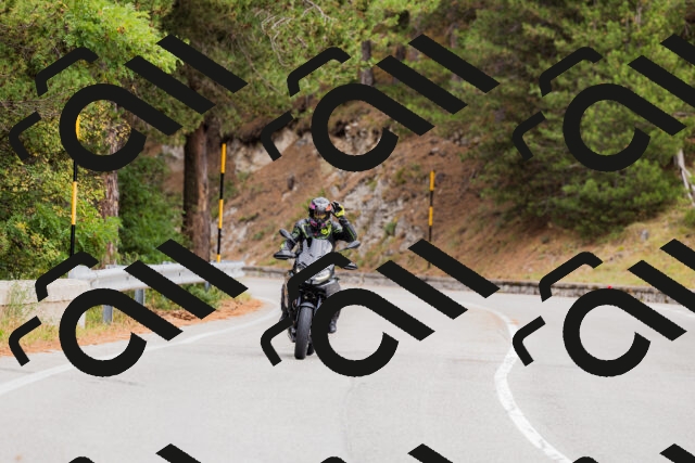 202508301211-_04A5536_c3