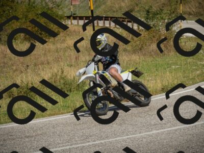 20250831114900-_5009598_am_