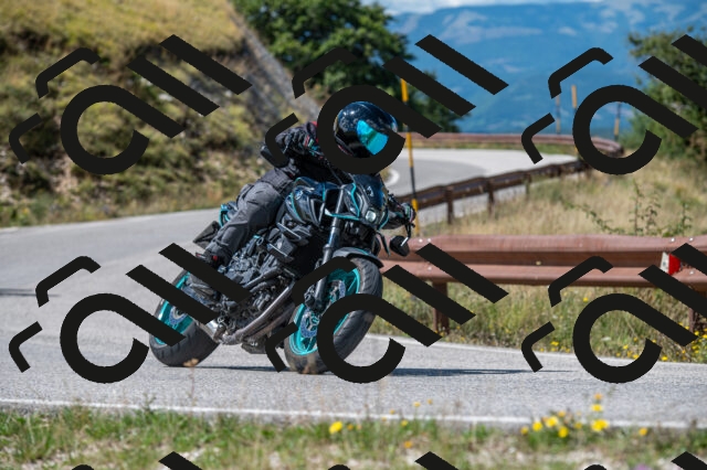 202508311237-M22_8475_m2_