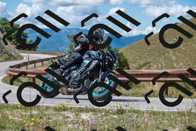 202508311303-M22_8574_m2_