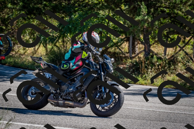 202508311022-DSC_7924_c2