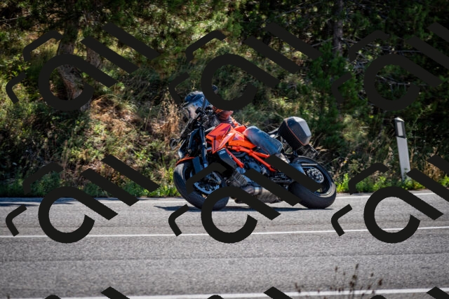 202508311024-DSC_7937_c2